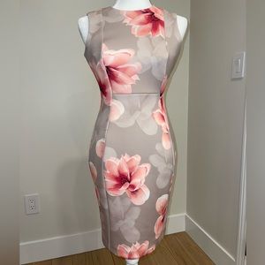 Calvin Klein Sleeveless Khaki and Pink Floral Sheath Dress Size 2 Petite